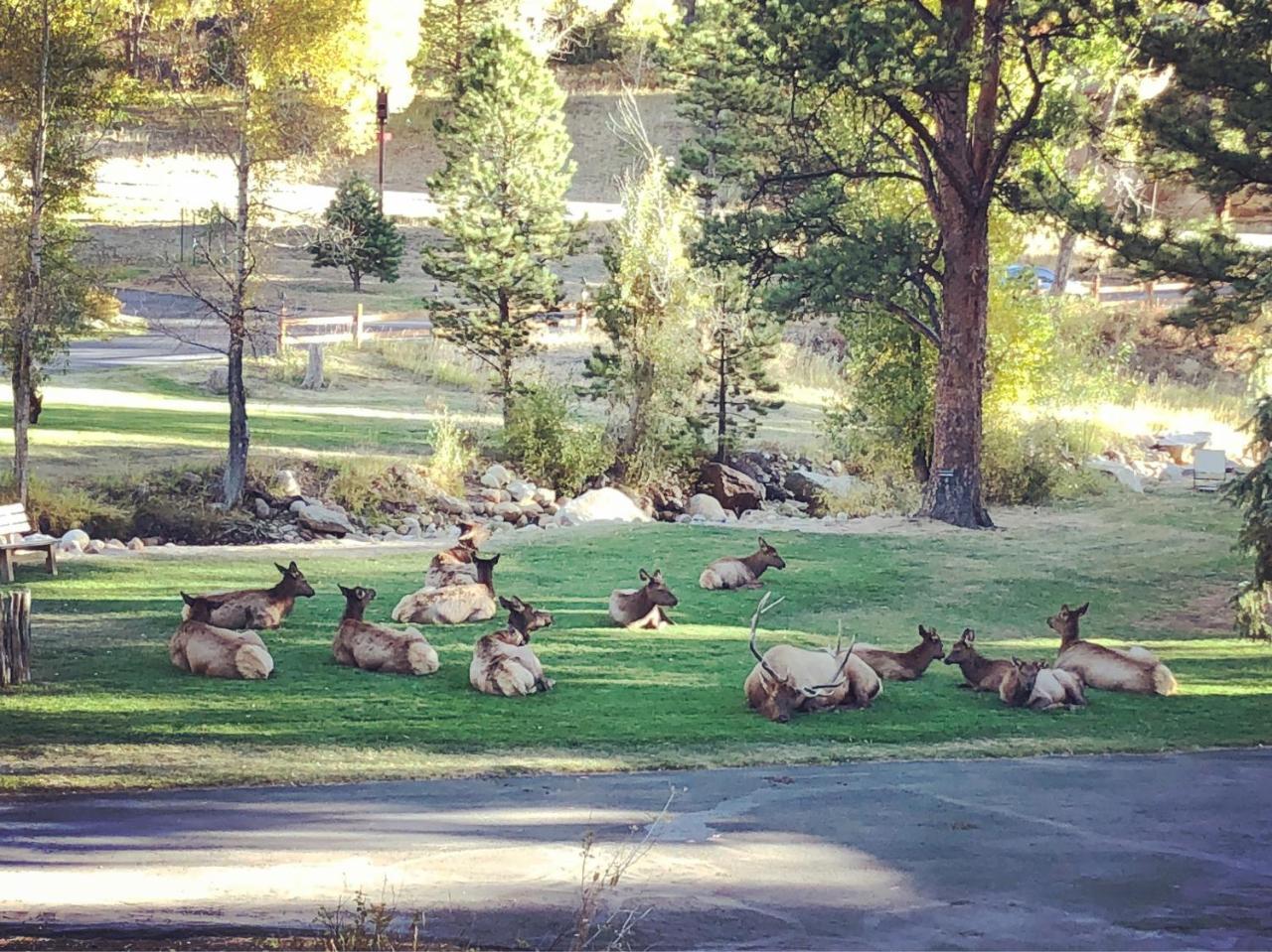 Riverview Pines Villa Estes Park Exterior photo